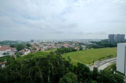The Skywoods (D23), Condominium #555319471
